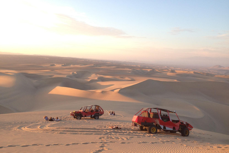 From Lima Private: Paracas & Huacachina with Lunch and Buggy