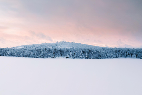 Nulkki Husky Adventure