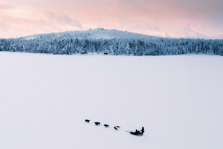 Nulkki Husky Adventure