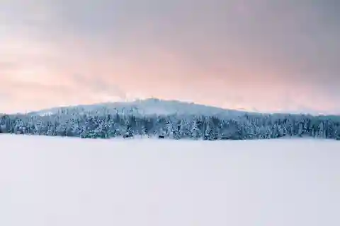 Приключение хаски в Нулкки