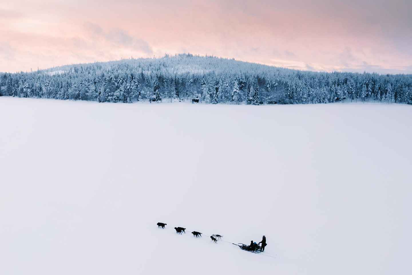 Nulkki Husky Adventure