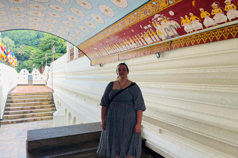 Kandy Day tour With Tea Factory from Colombo