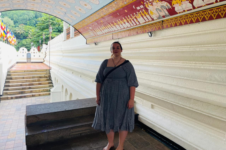 Kandy Day tour With Tea Factory from Colombo