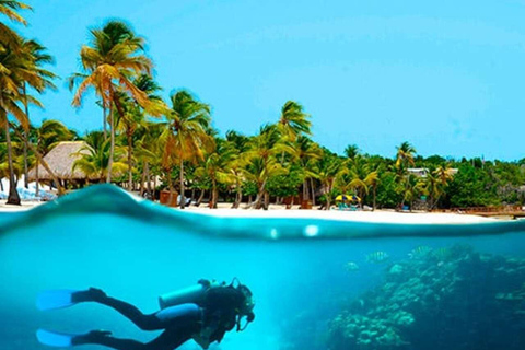 Private tour to Saona Island, Punta Cana