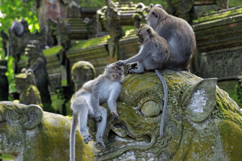 Ubud: Monkey Forest, Waterfall, and Rice Terrace Tour Private Tour Includes Entry Tickets