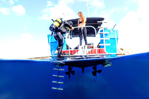 Menorca: Baptism Scuba Diving in Marine Reserve