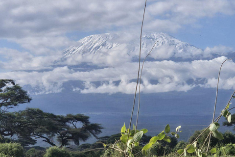 Mombasa/Diani:4 Days Tsavo East, Tsavo West & Amboseli Parks