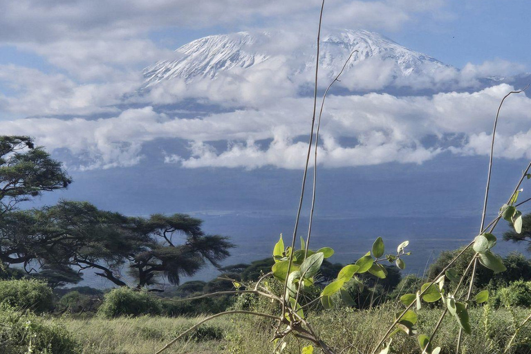 Mombasa/Diani:4 Days Tsavo East, Tsavo West & Amboseli Parks