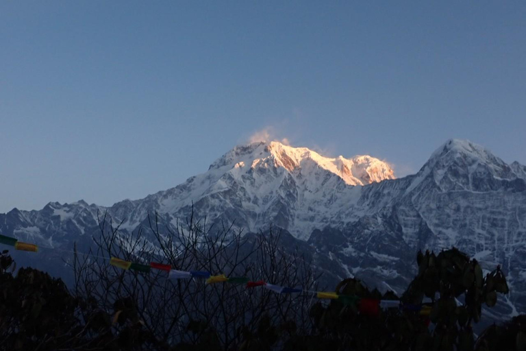 Från Katmandu: 8-dagars Mardi Himal Trek med transfer