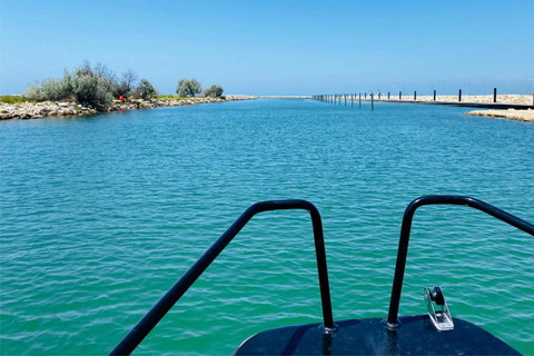 Boat excursions Boat trips