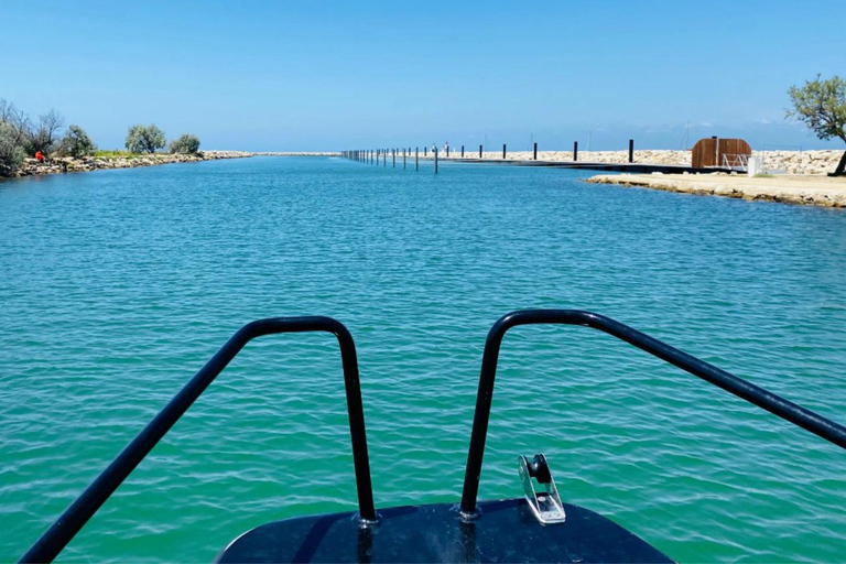 Boat excursions Boat trips