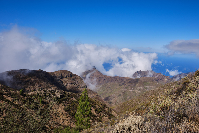 Tenerife: Hike Above Masca in Enchanted Forest with Pick-up
