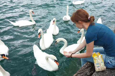 Zürich: Privé wandeltour met gidsRondleiding van 2 uur