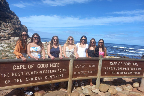 Kaapstad: Pinguïns & Kaap de Goede Hoop Halve Dag Tour