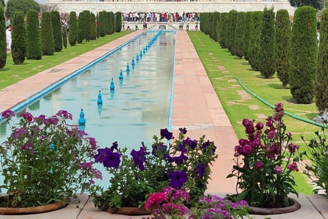 Da Delhi: tour privato di lusso al Taj Mahal e ad Agra + 5★ pranziTour con auto climatizzata, autista, guida turistica e biglietti d&#039;ingresso