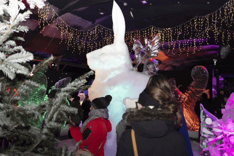 Biddinghuizen: Dutch Ice Sculpture Festival Entry Ticket