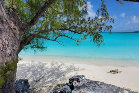 Inolvidable excursión por tierra en Long Island Bahamas