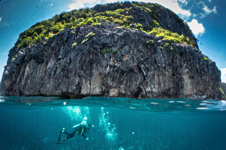El Nido: Deep Blue Dive Seafari Experience
