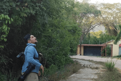 Oaxaca : Observation des oiseaux avec transport aller-retour