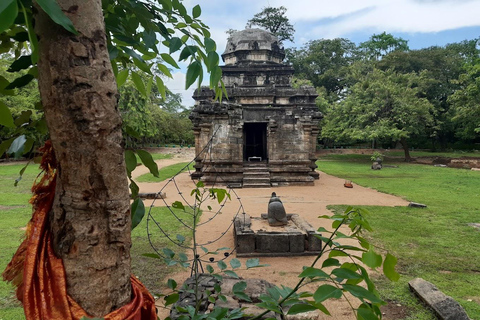 Dambulla & Polonnaruwa: All Inclusive Tour from Kandy