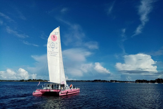 Baden: Gulf of Morbihan Exploration by Catamaran