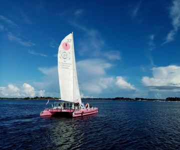 Baden: Gulf of Morbihan Exploration by Catamaran