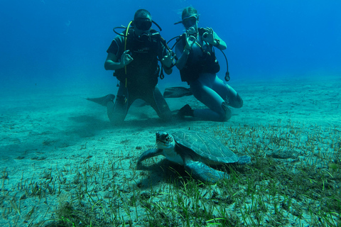 Curso de mergulho para iniciantes na área das tartarugas em TenerifeCurso de mergulho privado para iniciantes no parque natural de Tenerife