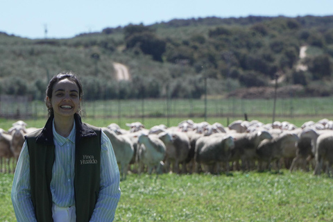 Toledo: Guided Artisan Cheese Dairy Tour with Tasting Guided Artisan Cheese Dairy Tour with Tasting (in Spanish)