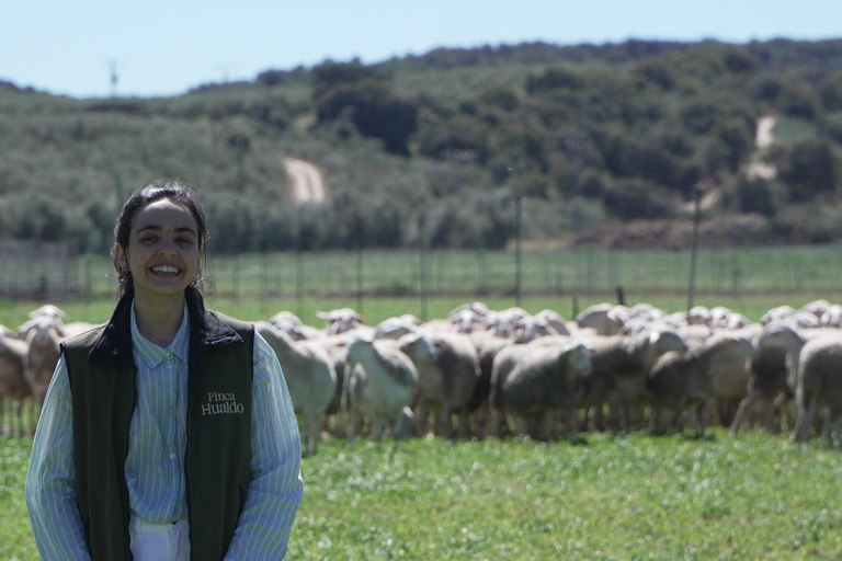 Toledo: Guided Artisan Cheese Dairy Tour with Tasting Guided Artisan Cheese Dairy Tour with Tasting (in Spanish)