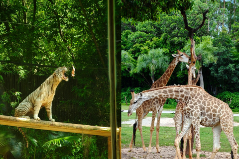 Guangzhou Chimelong: Safari Park/Paradise（Optional Day Tour） Chimelong Paradise – Adult