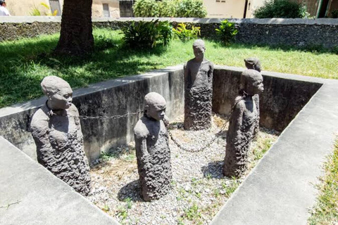 زنجبار: جولة في المدينة الحجرية وغابة جوزاني ومركز الفراشاتهذا الخيار، الاستقبال من فنادق المدينة