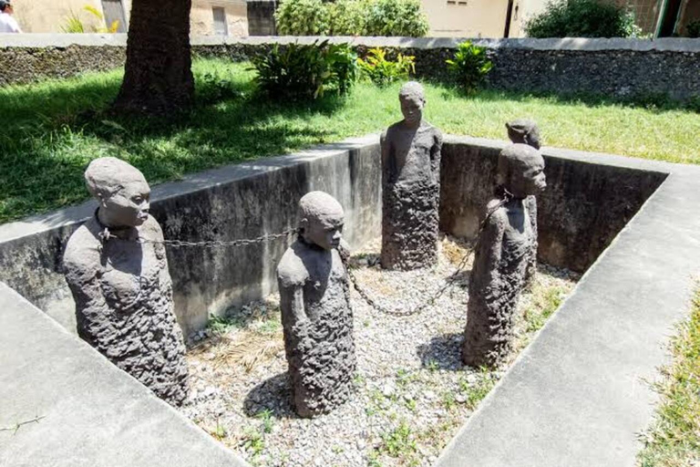 زنجبار: جولة في المدينة الحجرية وغابة جوزاني ومركز الفراشاتهذا الخيار، الاستقبال من فنادق المدينة