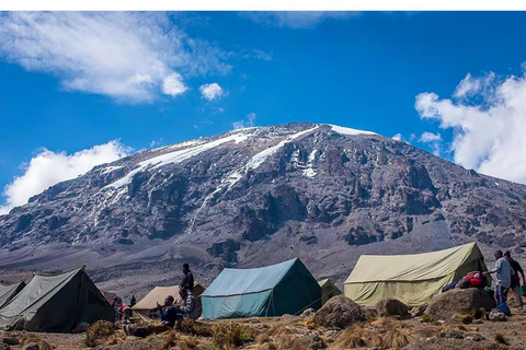 6 أيام في كليمنجارو للمشي لمسافات طويلة على طريق مارانغو، قمة أوهورو