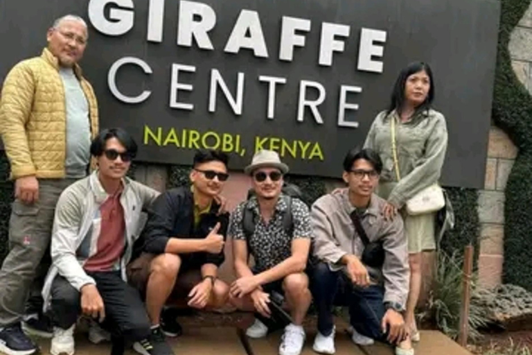 Nairobi: Giraffe Centre Visit and Giraffe Feeding Experience