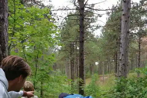 Zeeland: Guided Bos en Duin Safari NL/DE