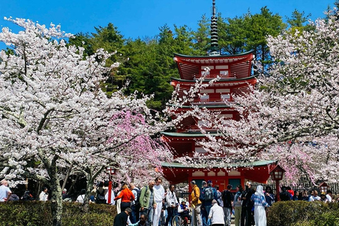 Fuji: kultur, skog och utsikt – privat skräddarsydd turFuji-kultur, skog och naturskön utsikt: Privat skräddarsydd tur