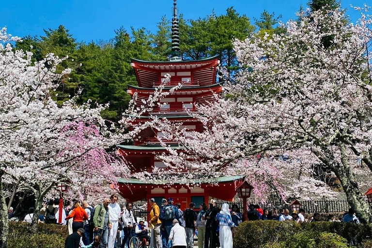 Fuji: kultur, skog och utsikt – privat skräddarsydd turFuji-kultur, skog och naturskön utsikt: Privat skräddarsydd tur