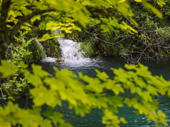 Plitvicer Seen von Zadar aus: Hin- und Rücktransfer