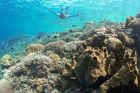 Jakarta: Dagtrip duiken bij Thousand Islands Marine Park