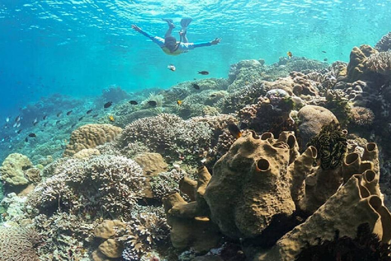 Jakarta: Dagtrip duiken bij Thousand Islands Marine Park