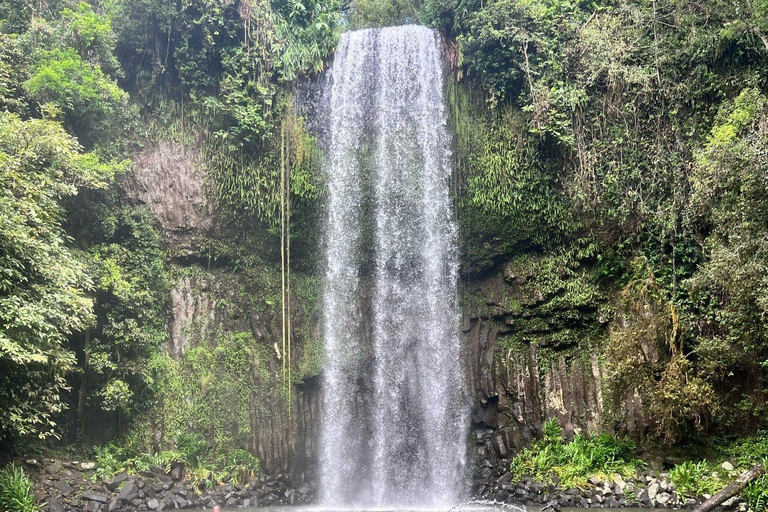 Cairns: 2-Day Atherton Tablelands & Cape Tribulation Tour