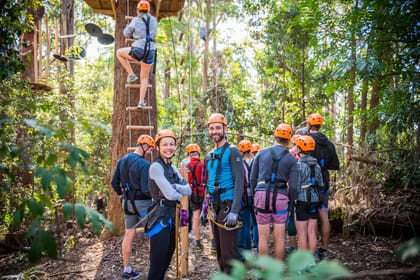 Canberra: Majura Pines Tree Ropes Course | GetYourGuide