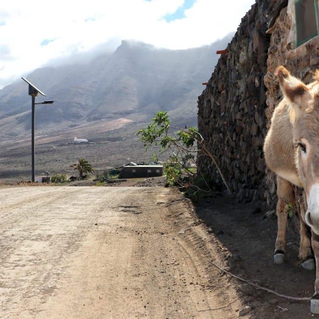 Galería de fotos para redes