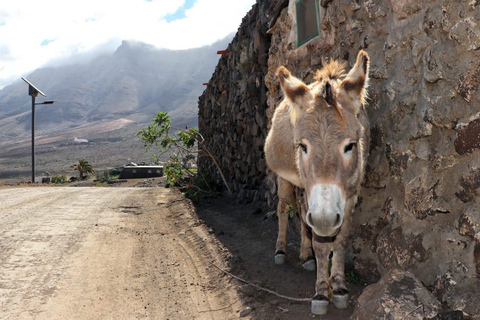 Fuerteventura: Safári Cofete