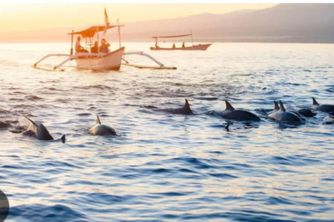 Bali: Lovina Dolphin Watching Boat Tour with Pickup