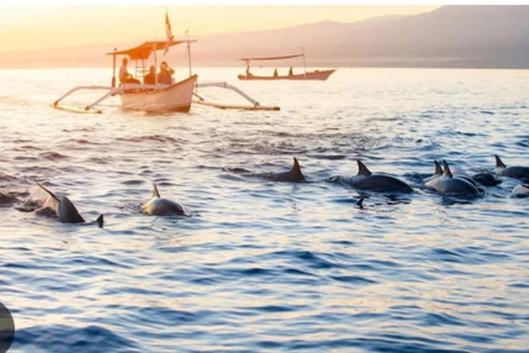 Bali: Lovina Dolphin Watching Boat Tour with Pickup