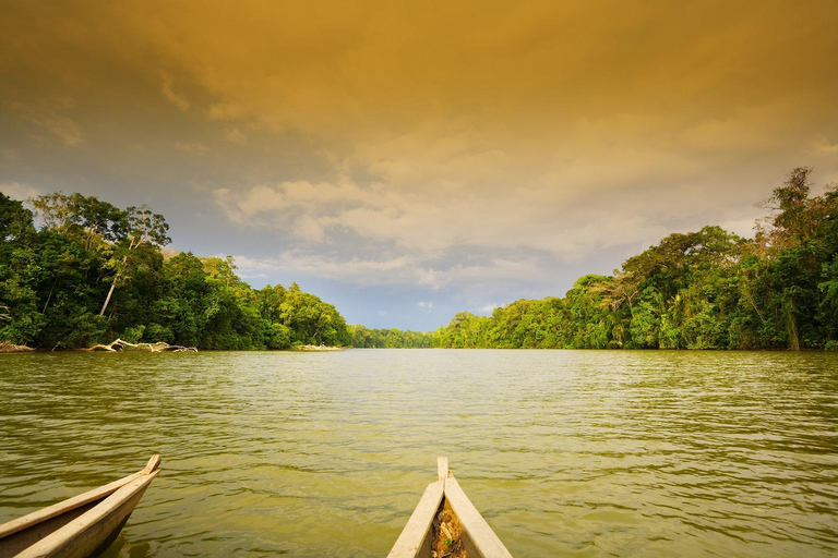 Manu&#039;s Park Odyssey - Embárcate en una expedición de 4 días por la selva