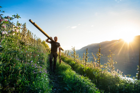 From Bergen: Hardanger Fjord & Glacier Small-Group Tour