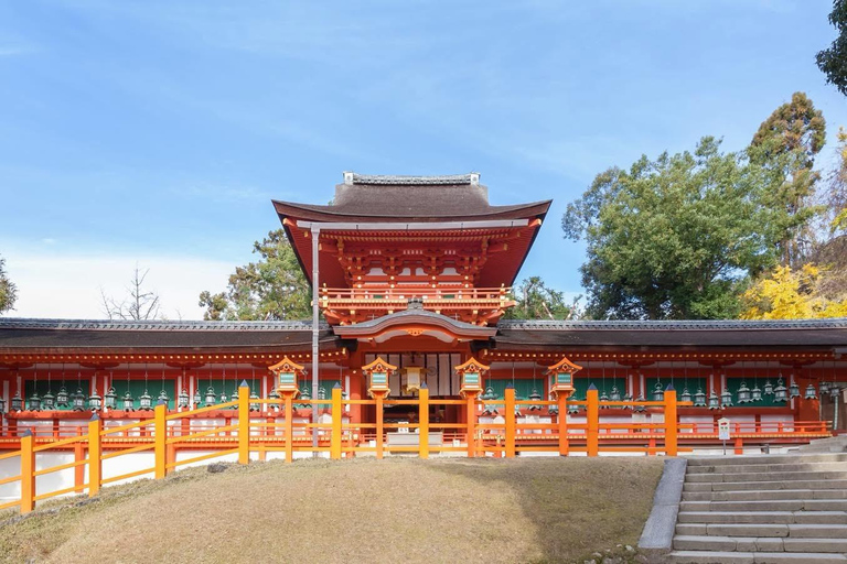 奈良公园：隐秘小径与鹿群导览之旅（含接送服务）