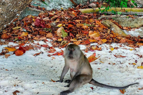 Krabi: A melhor aventura particular de barco de cauda longa em 7 ilhasMotorista de barco